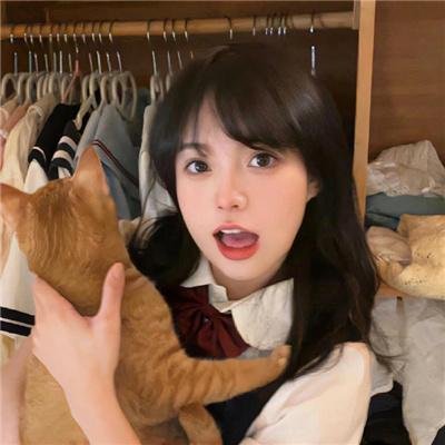 侦探事务所：诈欺猎人